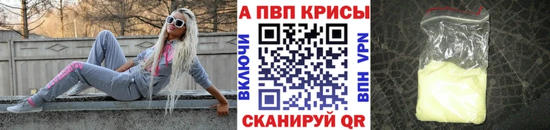 А ПВП СК Каргополь