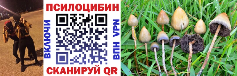 Галлюциногенные грибы ЛСД  Каргополь 
